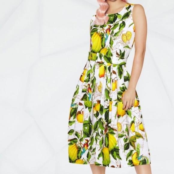 Samantha Sung Lemon Print A-Line Sleeveless Midi Dress Size 8 - Picture 2 of 16